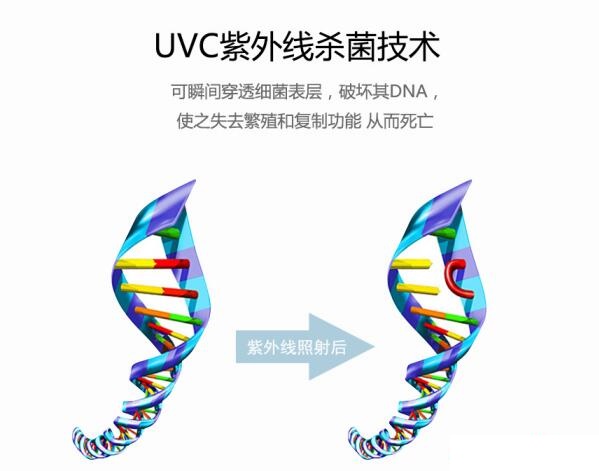 紫外輻照計探索深紫外UVC-LED殺菌效果有關(guān)的因素